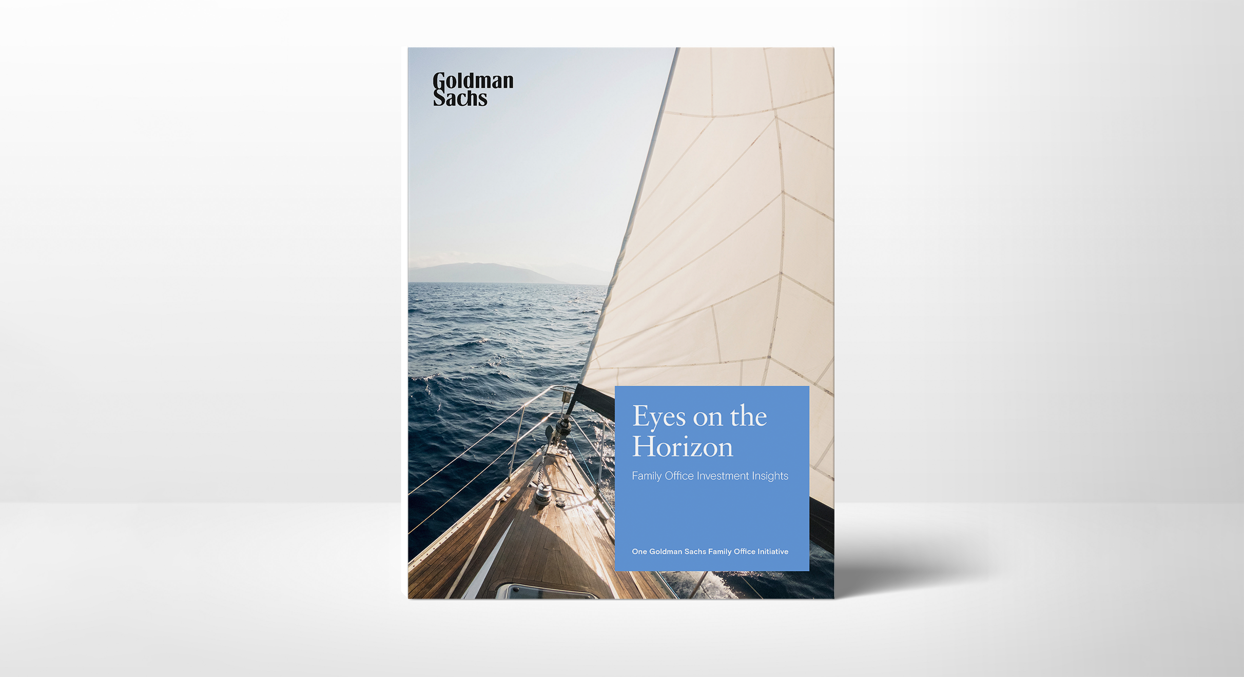 Family Office Investment Insights Report Eyes On The Horizon Goldman 
